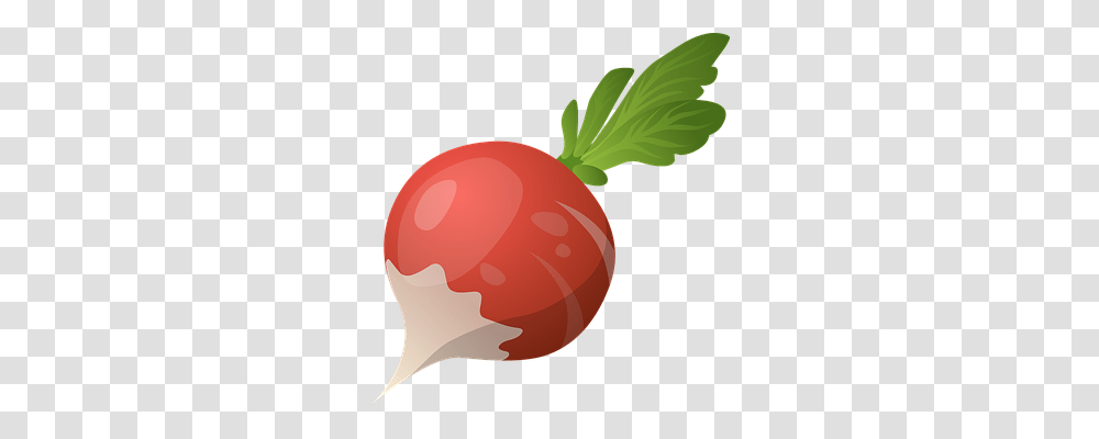 Radish Food, Plant, Vegetable, Produce Transparent Png