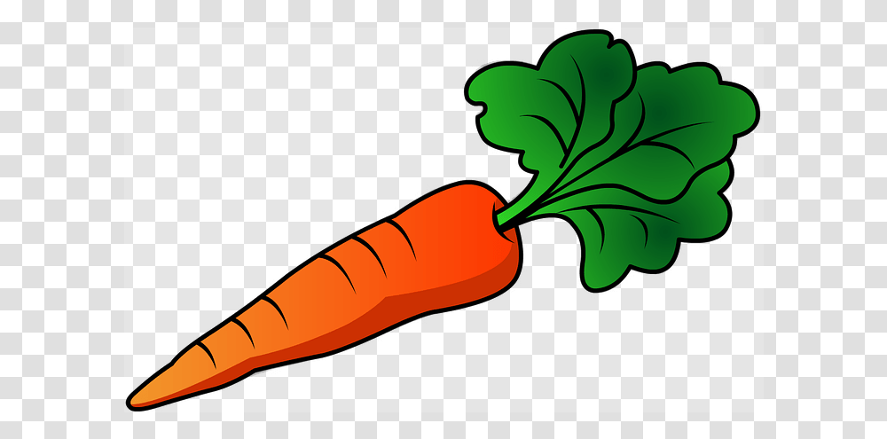 Radish Background Carrots Clipart, Plant, Vegetable, Food Transparent Png