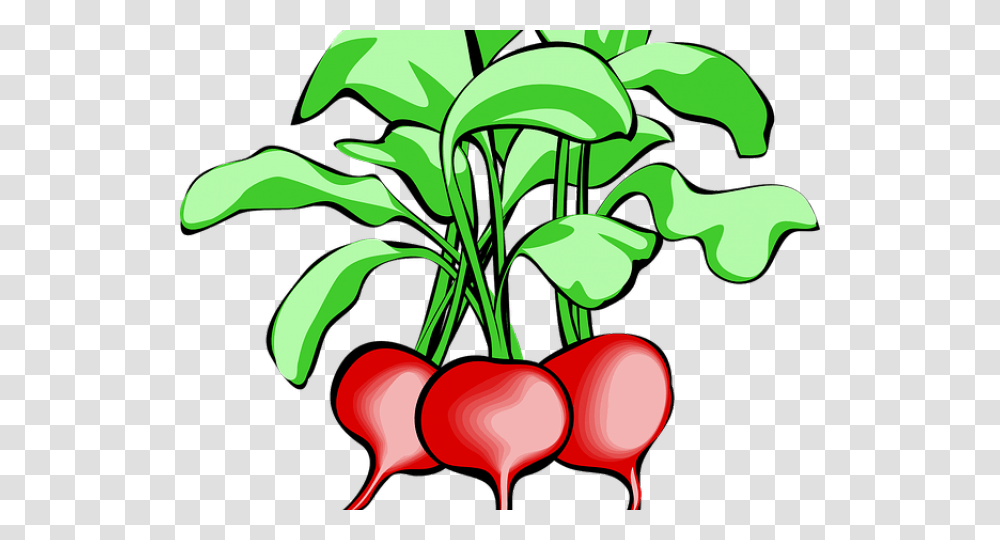 Radish Clipart Spring Radishes Clip Art, Plant, Vegetable, Food, Scissors Transparent Png