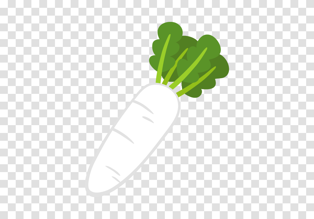 Radish Free And Vector, Plant, Vegetable, Food Transparent Png