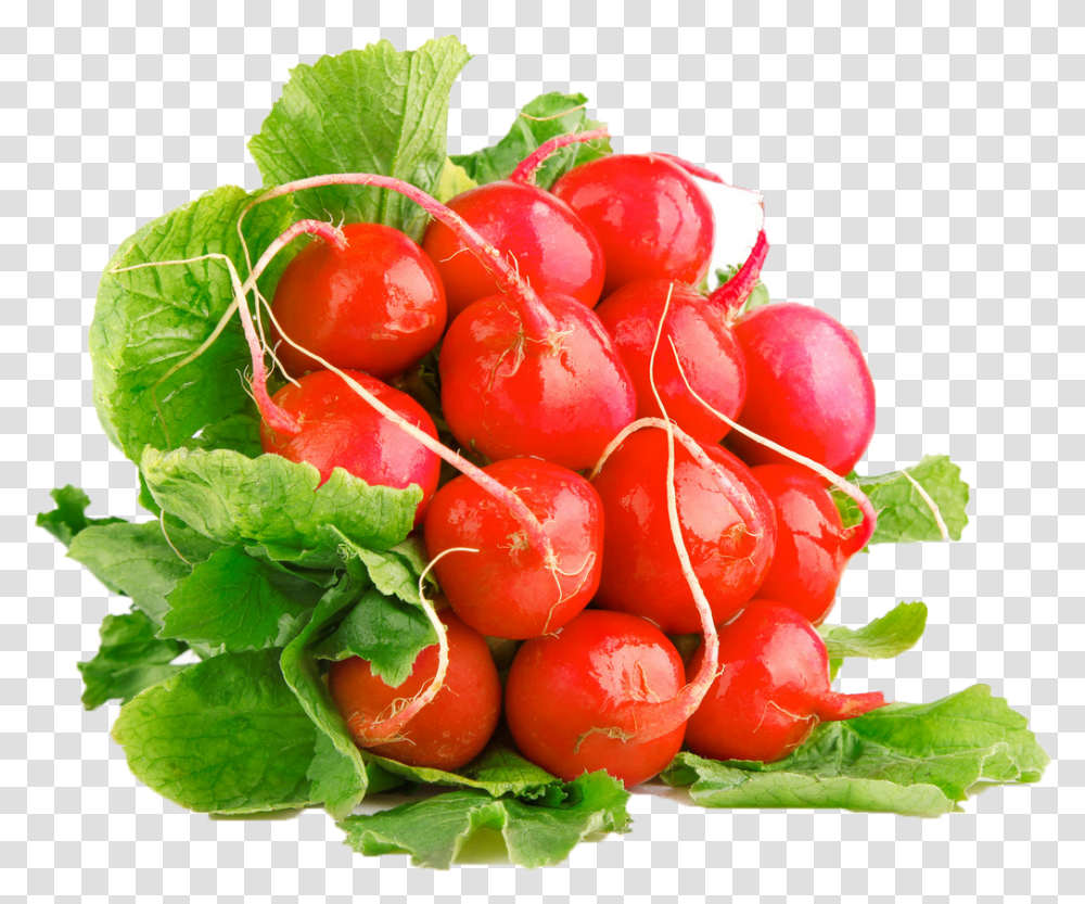 Radish Free Commercial Use Image Radish, Plant, Vegetable, Food, Orange Transparent Png
