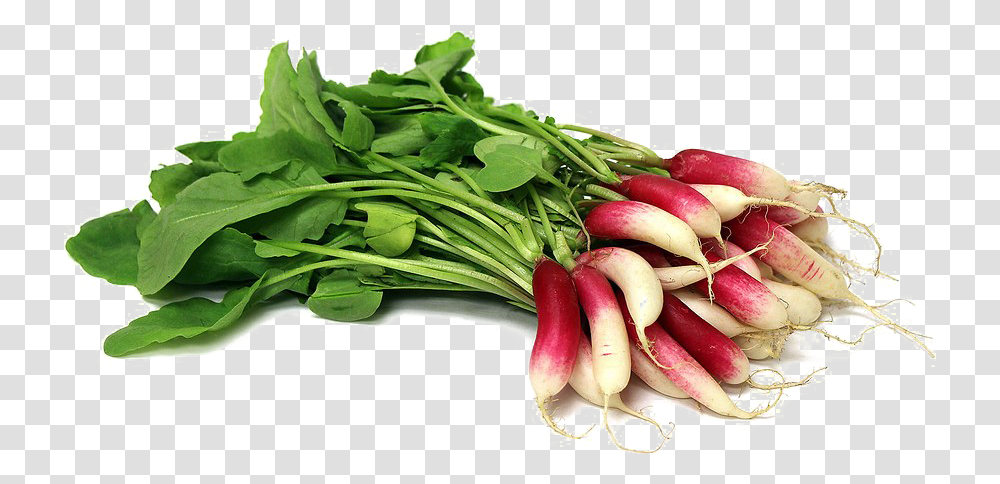 Radish Free Download Arugula, Plant, Vegetable, Food, Produce Transparent Png