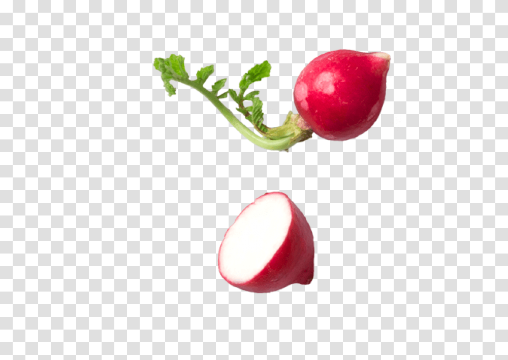 Radish Image, Plant, Vegetable, Food, Produce Transparent Png