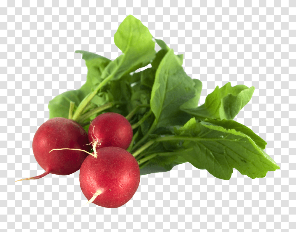 Radish Image, Vegetable, Plant, Food, Apple Transparent Png