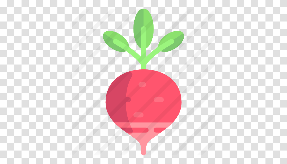 Radish, Plant, Food, Vegetable, Fruit Transparent Png