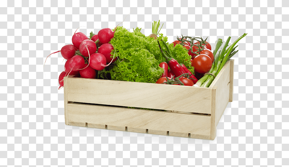Radish, Plant, Vegetable, Food, Box Transparent Png