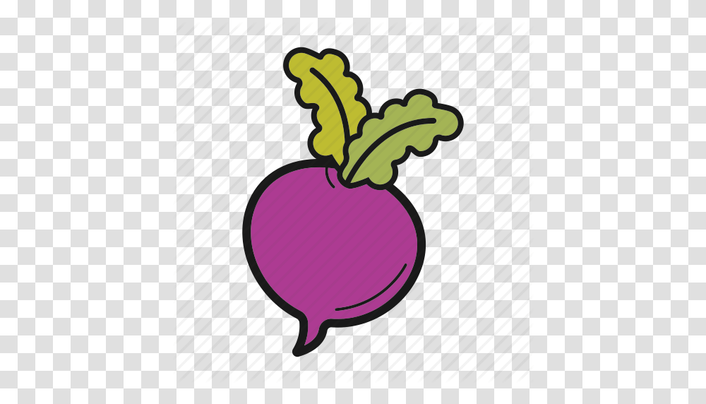Radish Root Crop Turnip Vegetable Icon, Plant, Food, Produce, Rutabaga Transparent Png