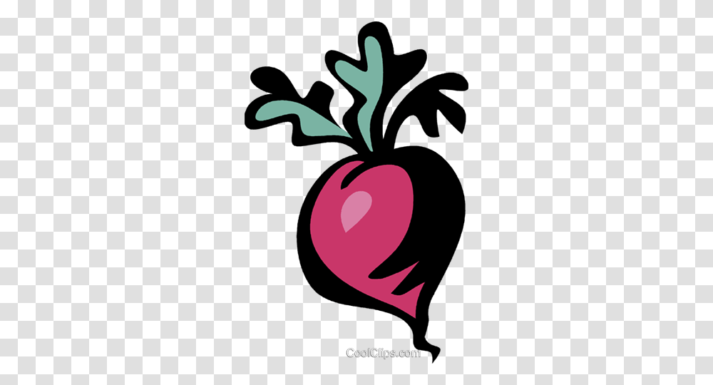 Radish Royalty Free Vector Clip Art Illustration, Vegetable, Plant, Food Transparent Png