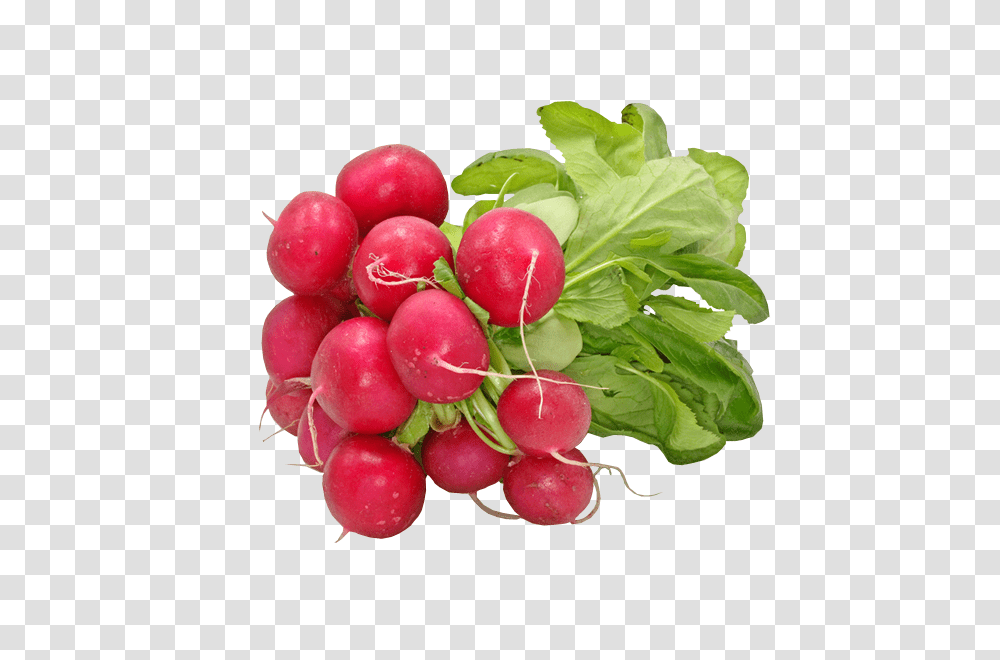 Radish, Vegetable, Plant, Food, Apple Transparent Png