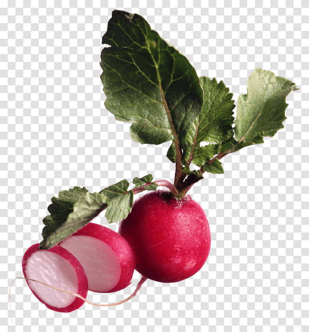 Radish, Vegetable, Plant, Food, Apple Transparent Png