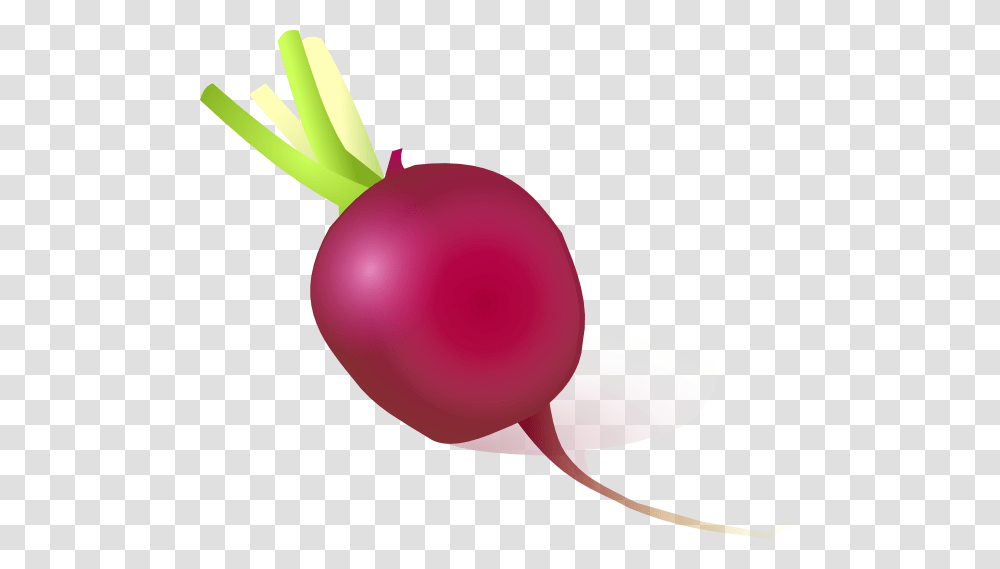 Radish, Vegetable, Plant, Food, Balloon Transparent Png