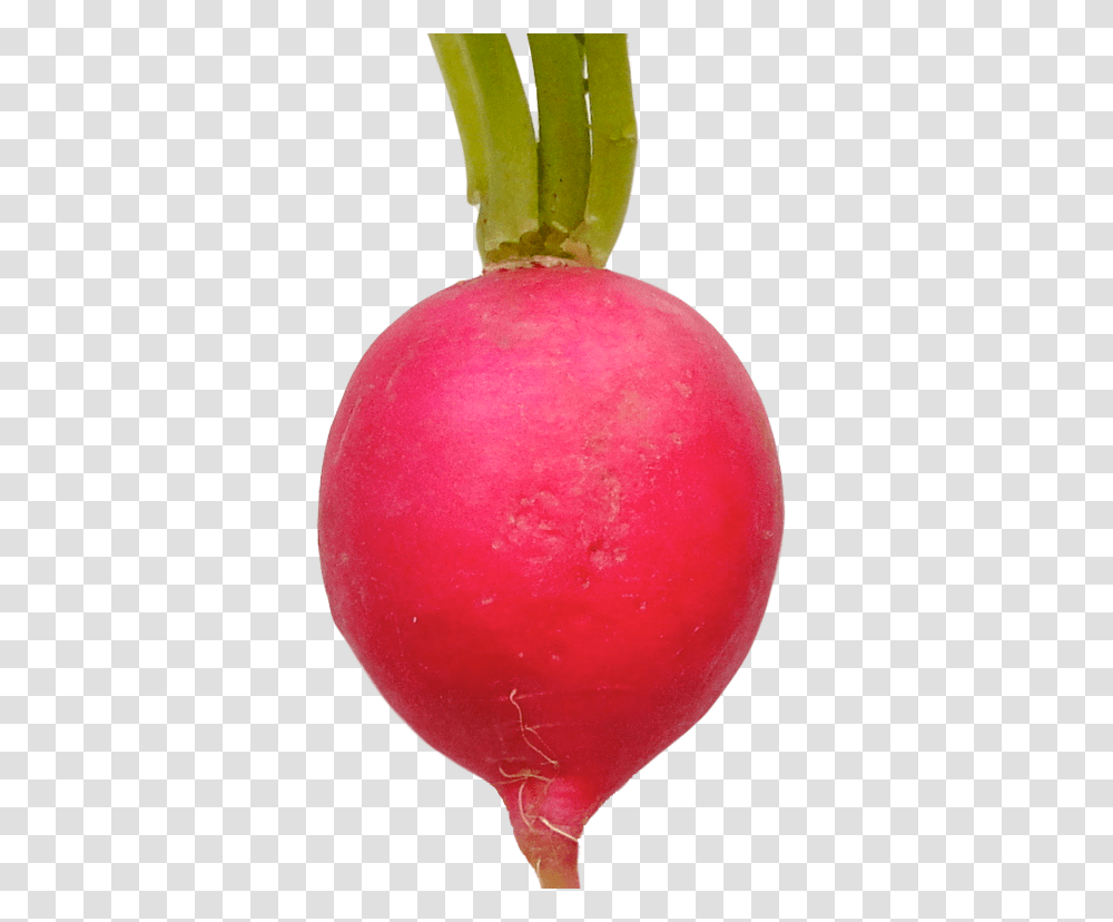 Radish, Vegetable, Plant, Food, Produce Transparent Png