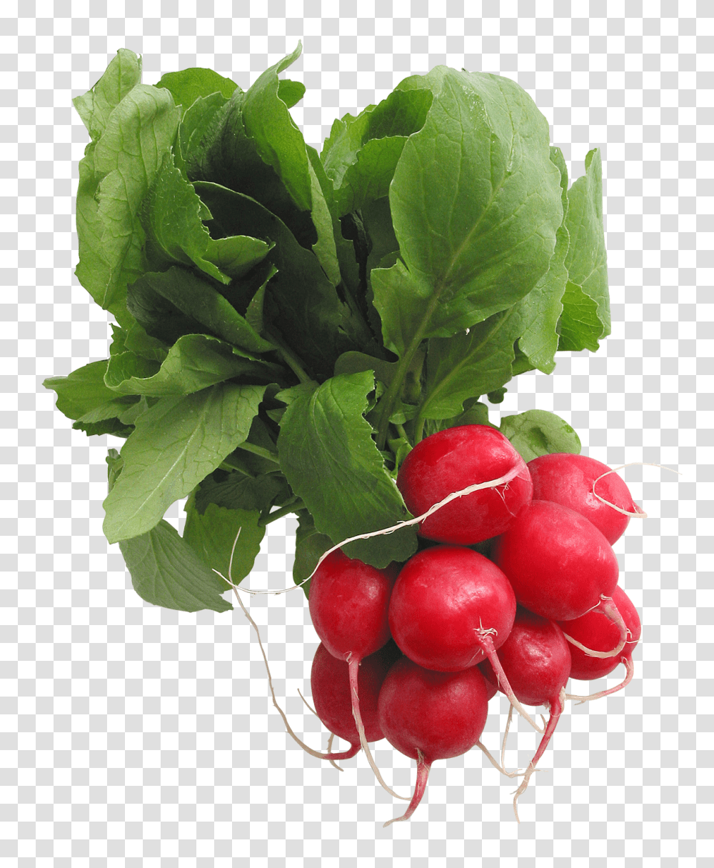 Radish, Vegetable, Plant, Food, Produce Transparent Png