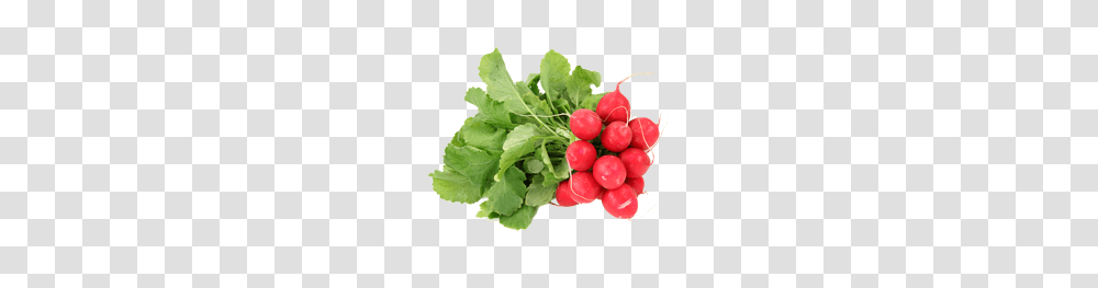 Radish, Vegetable, Plant, Food, Produce Transparent Png