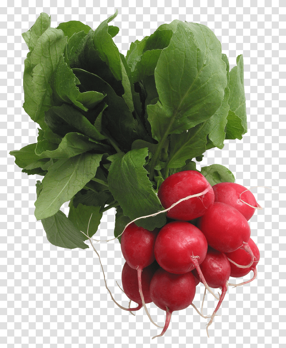 Radish, Vegetable, Plant, Food, Produce Transparent Png