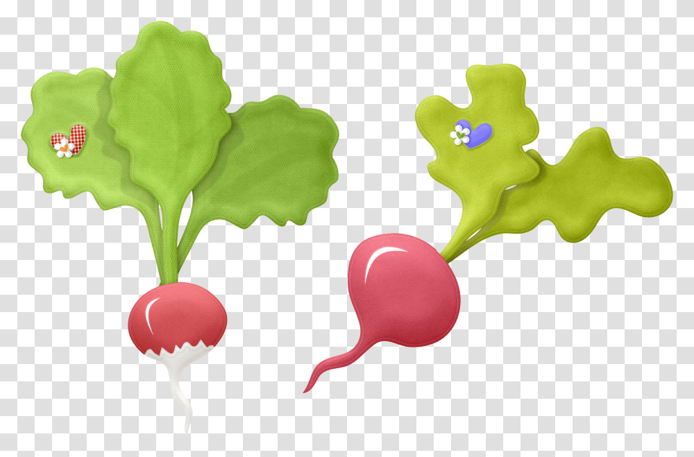 Radish, Vegetable, Plant, Food, Sweets Transparent Png