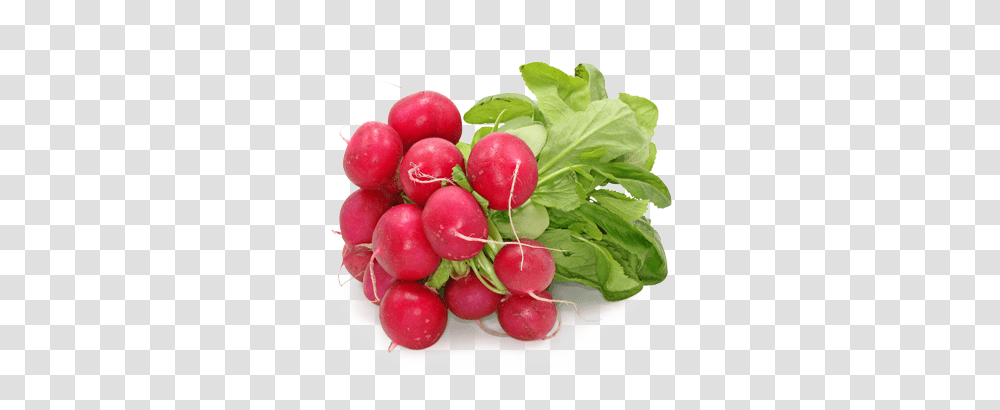 Radish, Vegetable, Plant, Food Transparent Png