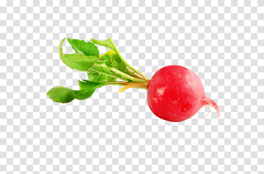 Radish, Vegetable, Plant, Food Transparent Png