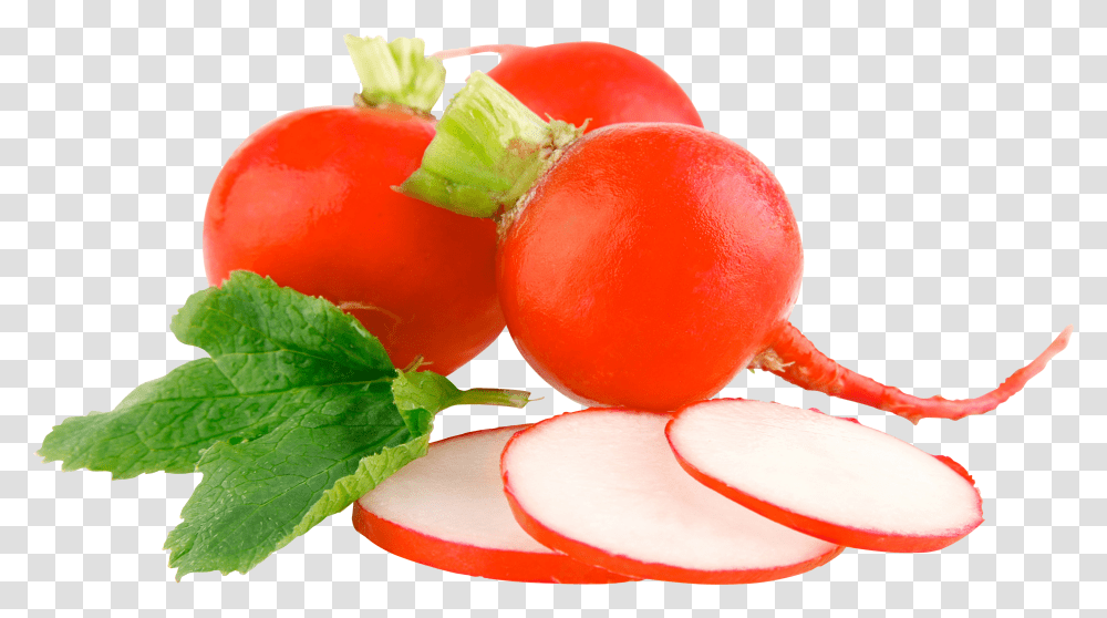 Radish, Vegetable, Plant, Potted Plant, Vase Transparent Png