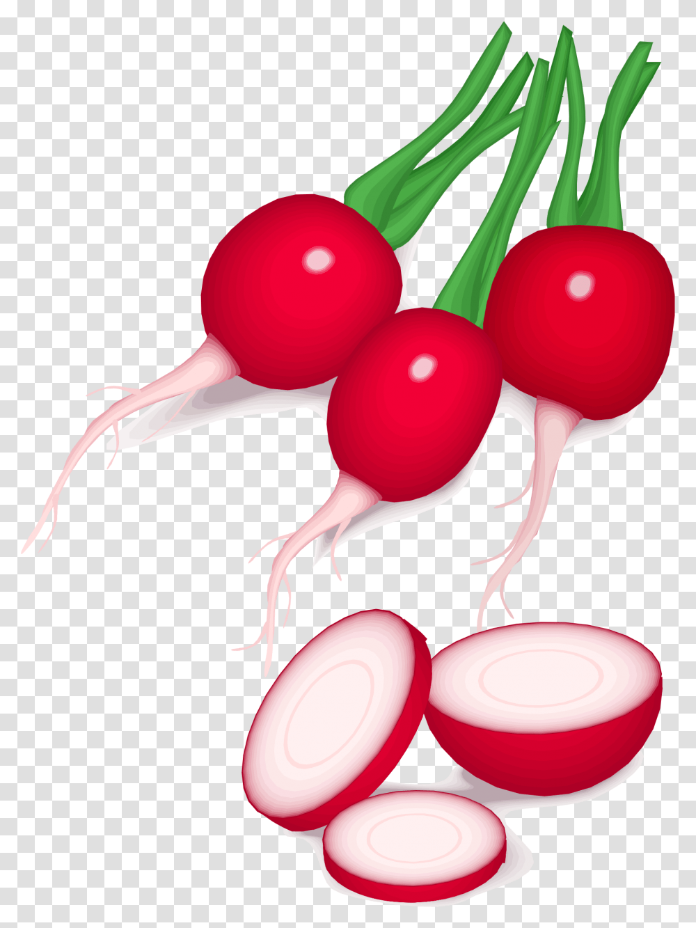 Radish, Vegetable, Plant, Toy, Food Transparent Png