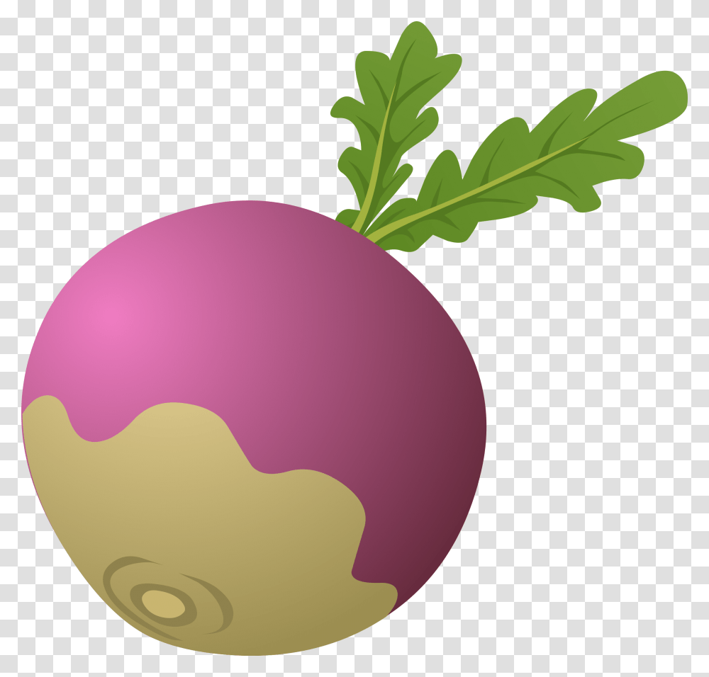Radish, Vegetable, Plant, Turnip, Produce Transparent Png