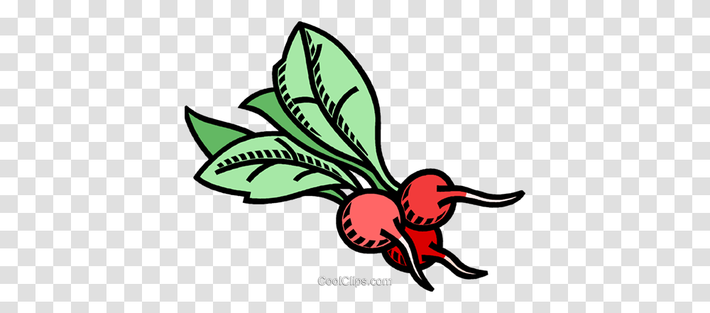 Radish Vegetable Royalty Free Vector Clip Art Illustration, Plant, Tree, Potted Plant, Vase Transparent Png