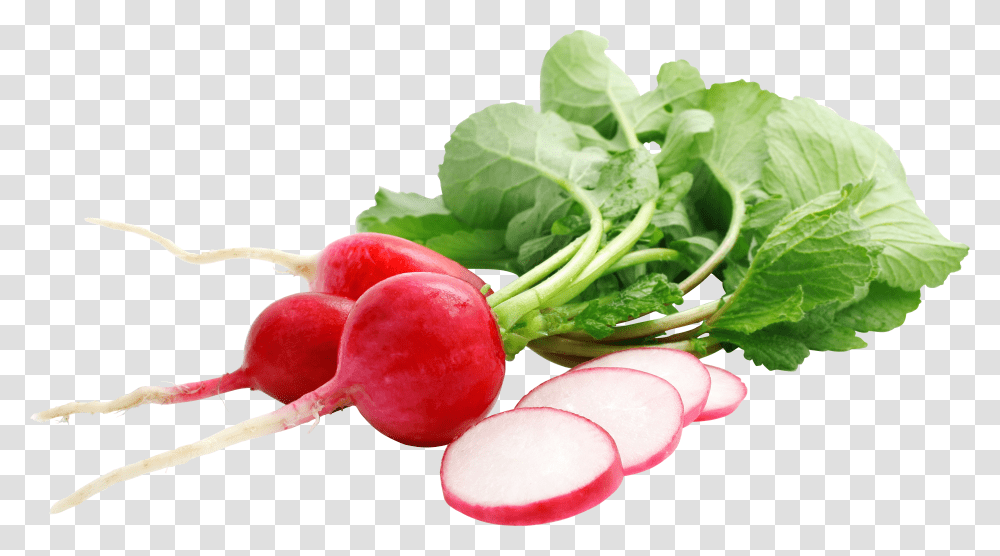 Radish, Vegetable Transparent Png