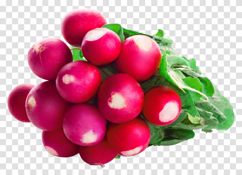 Radish, Vegetable Transparent Png