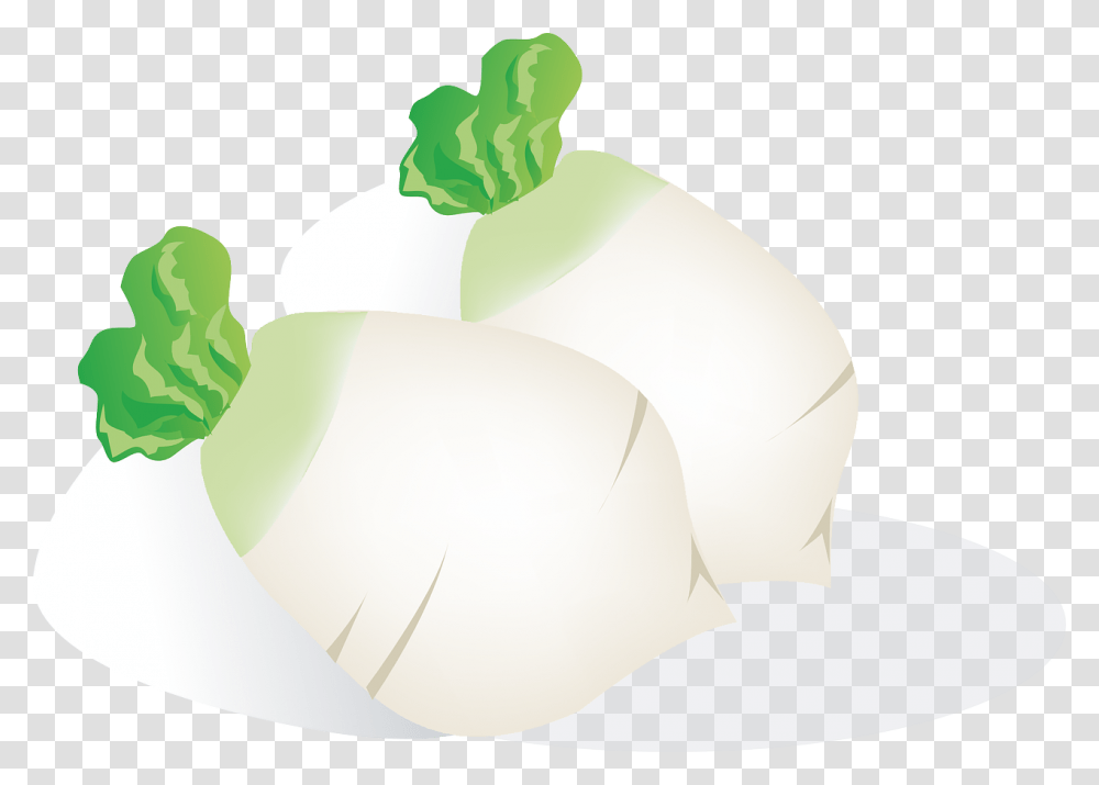Radish Vegetables Food Free Picture, Plant, Produce, Lamp, Icing Transparent Png