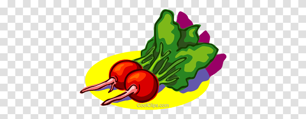 Radish Vegetables Royalty Free Vector Clip Art Illustration, Plant, Food, Produce, Carrot Transparent Png