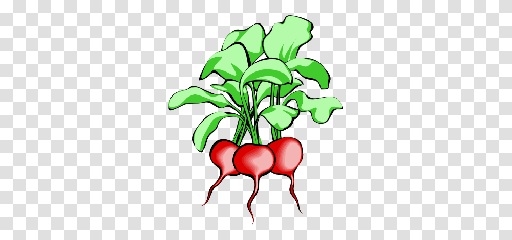 Radishes Clip Art, Plant, Vegetable, Food, Produce Transparent Png