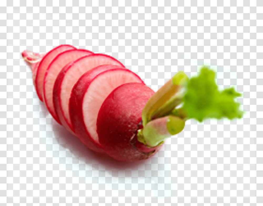 Radishes Leaf Vegetable, Plant, Food, Produce, Sliced Transparent Png