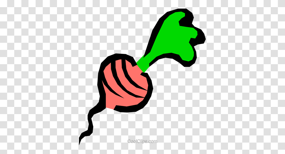 Radishes Royalty Free Vector Clip Art Illustration, Rattle, Smoke Pipe, Maraca, Musical Instrument Transparent Png