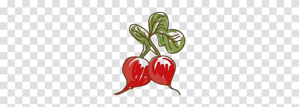 Radishreadme Md, Plant, Vegetable, Food, Dynamite Transparent Png