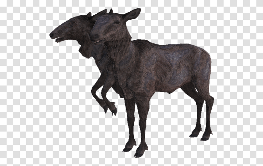 Radstag Yearling Fallout, Animal, Mammal, Cow, Cattle Transparent Png