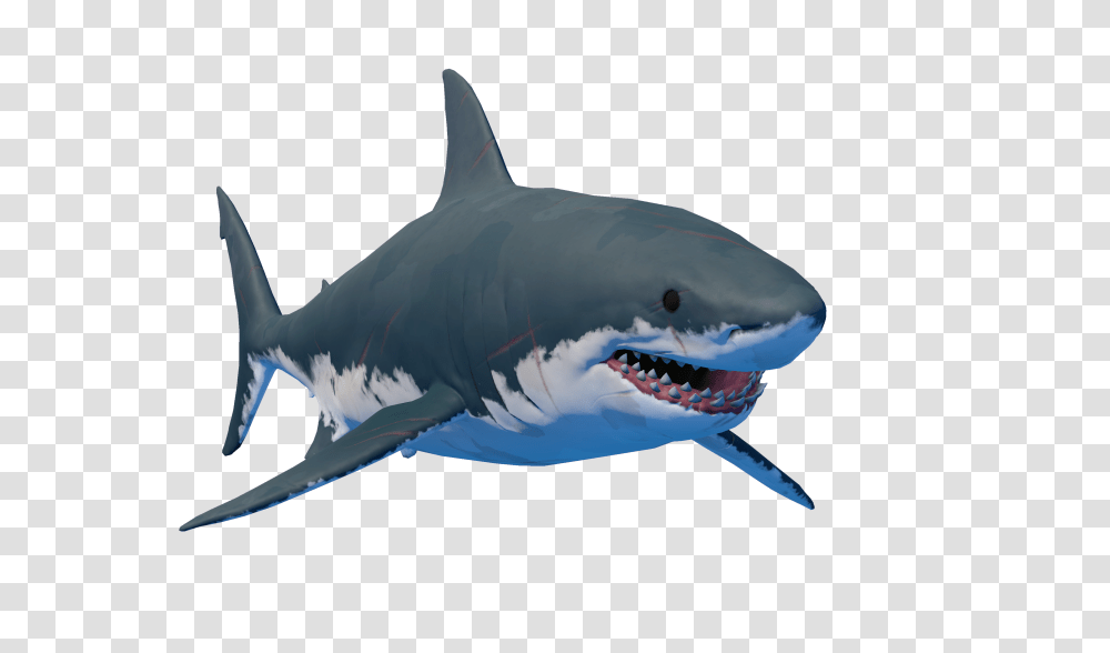 Raft Game Logo Image With No, Shark, Sea Life, Fish, Animal Transparent Png