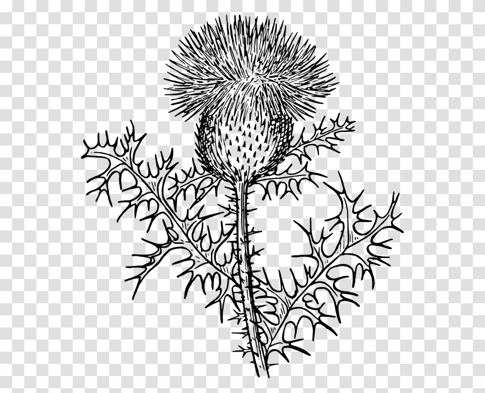 Rag Weed Svg Clip Arts Thistle Black And White Clipart, Gray, World Of Warcraft Transparent Png