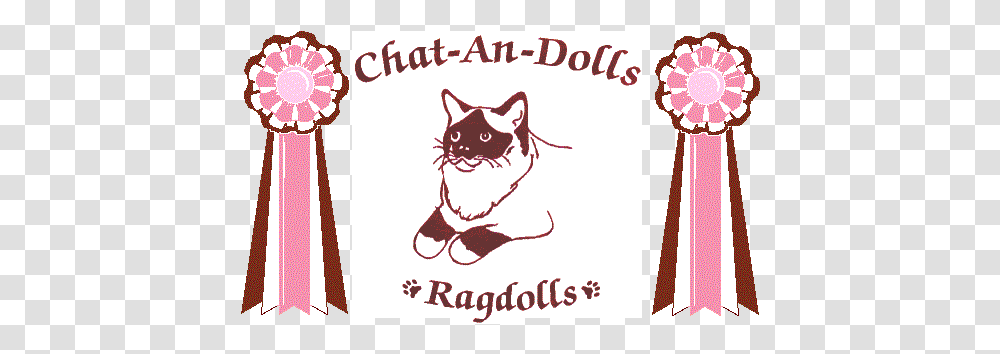 Ragdoll Kittens For Sale Cats Lovely, Label, Text, Sticker, Pet Transparent Png