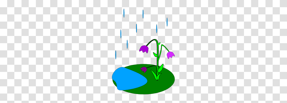 Rain Flowers Clip Art, Plant, Blossom Transparent Png