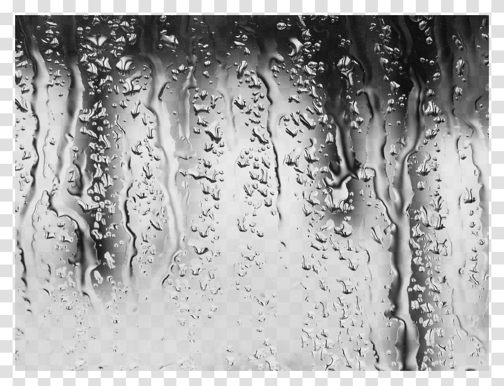 Rain Out A Window, Droplet, Water, Bubble Transparent Png