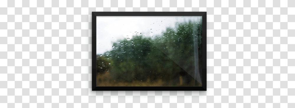 Rain Painting, Insect, Invertebrate, Animal, Spider Web Transparent Png