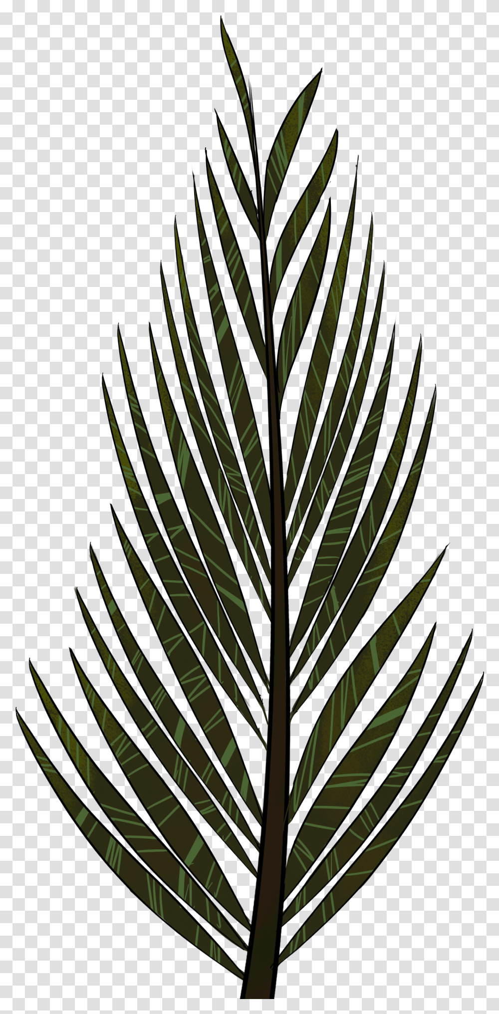 Rain Plants And Trees Clipart 5 Station Pine Tree Leaf Clipart, Pineapple, Nature, Outdoors, Vegetation Transparent Png