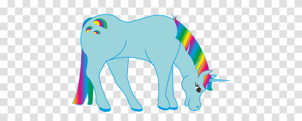Rainbow Person, Wildlife, Animal, Mammal Transparent Png