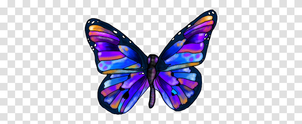 Rainbow Butterfly Clipart Picsart Butterfly Picsart, Ornament, Pattern, Fractal, Invertebrate Transparent Png