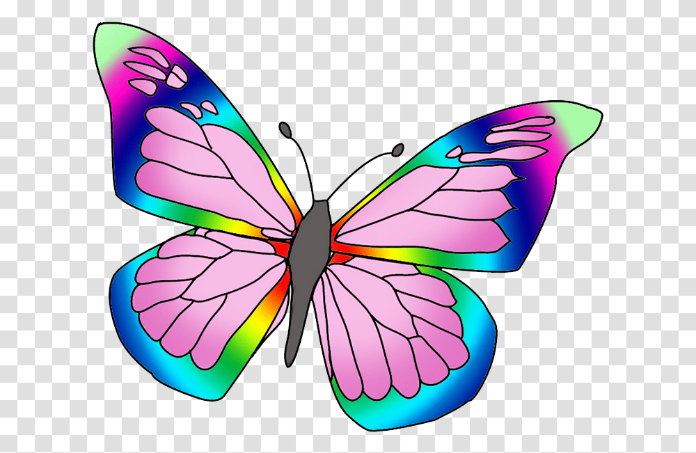 Rainbow Colored Butterfly Image Beautiful Butterfly Pictures Color, Insect, Invertebrate, Animal, Dragonfly Transparent Png