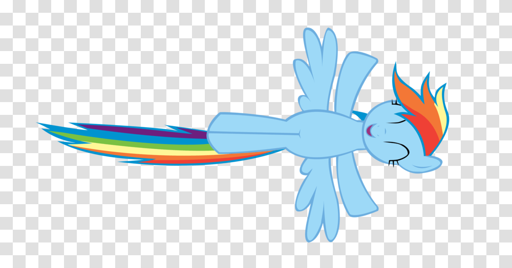 Rainbow Dash Flying Background, Outdoors, Nature, Animal, Bird Transparent Png