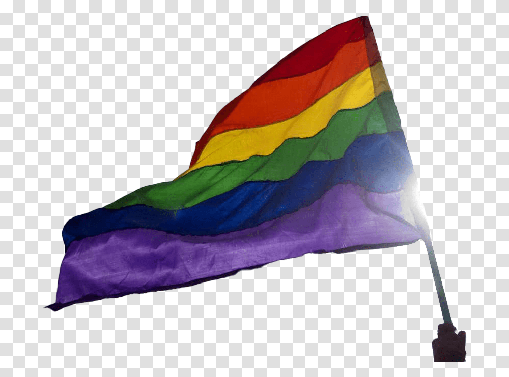Rainbow Flag Background Homophobia Exists, Symbol, American Flag, Person, Human Transparent Png