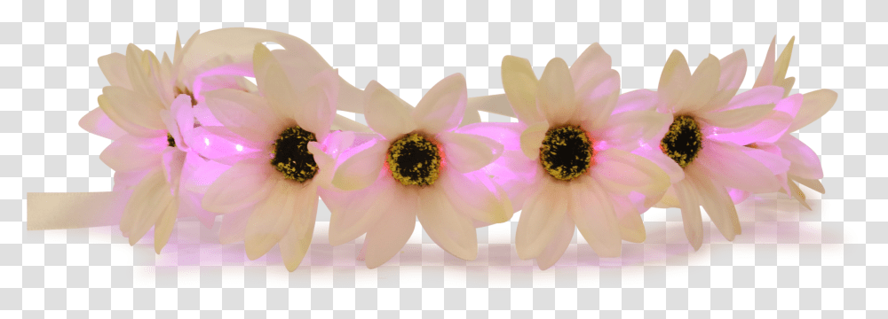 Rainbow Flower Crown Flower Snapchat Crown, Pollen, Plant, Blossom, Petal Transparent Png