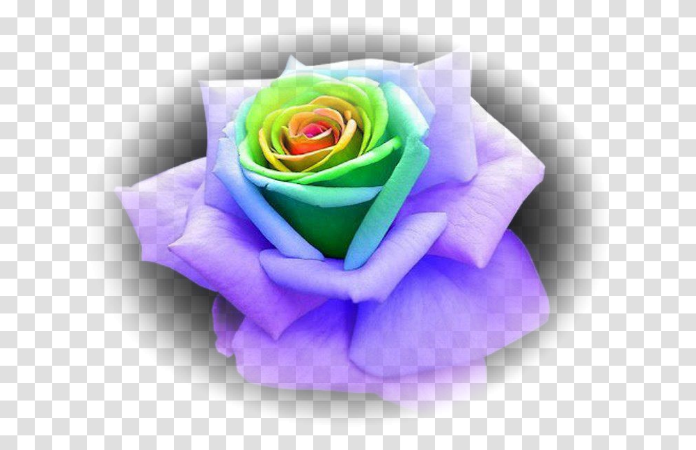 Rainbow Flower Crown Green And Purple Rose, Plant, Blossom, Paper Transparent Png
