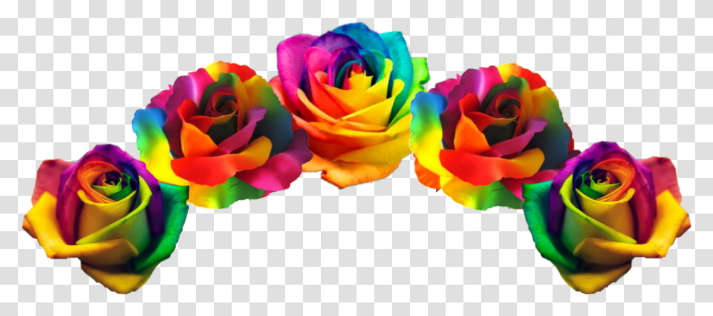 Rainbow Flower Crown, Rose, Plant, Blossom, Petal Transparent Png